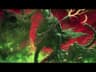 Psychedelic desert rock-swamp blues trip | Instrumental groove mix