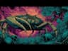 Acid Deep Sea Groove | Psychedelic Rock-Blues Ambient Trip